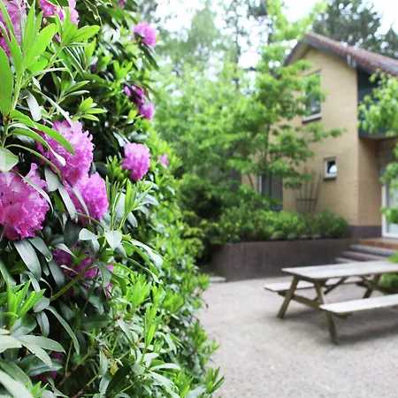 Quaint In With Swimming Pool Villa *