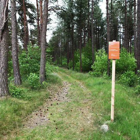 Quaint In With Swimming Pool Doornspijk