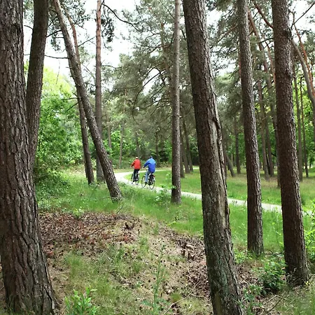 Quaint In With Swimming Pool Villa *