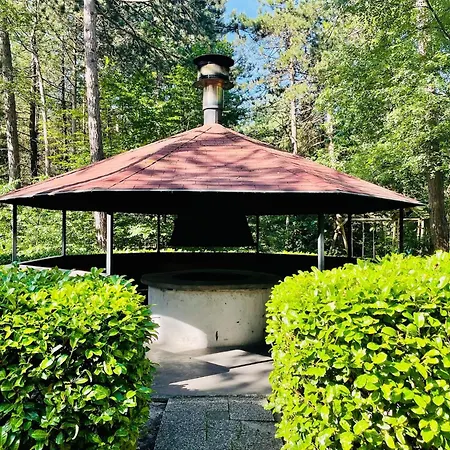 Quaint In With Swimming Pool Villa