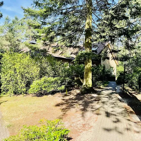 Quaint In With Swimming Pool Villa *