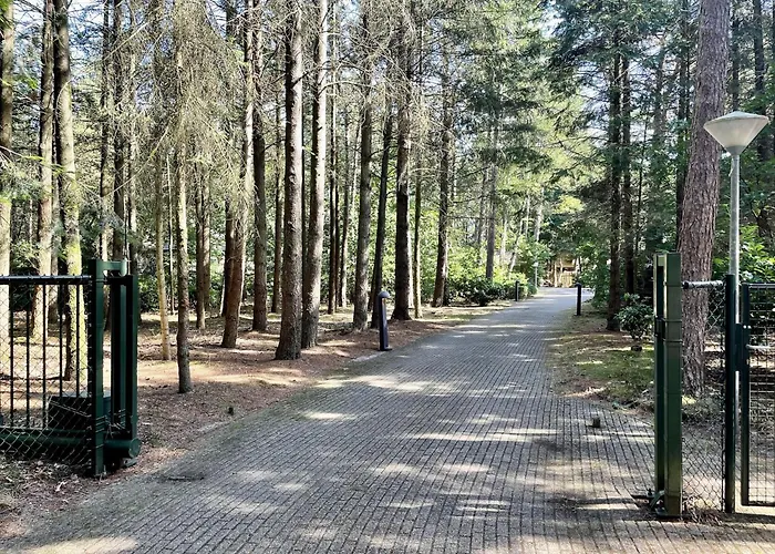 Quaint In With Swimming Pool Villa Doornspijk