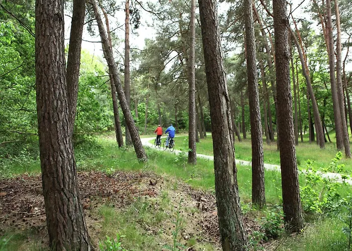 Quaint In With Swimming Pool Doornspijk