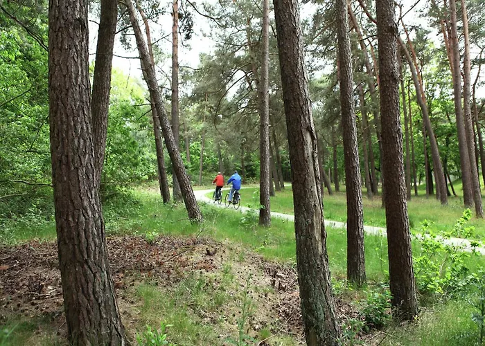 Quaint In With Swimming Pool *