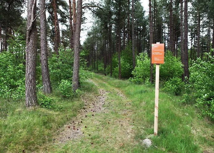 빌라 Quaint In With Swimming Pool Doornspijk