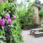 Quaint In With Swimming Pool * Doornspijk