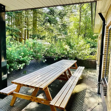 Quaint In With Swimming Pool *