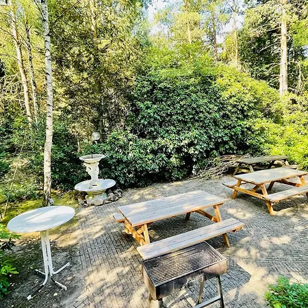 Willa Quaint In With Swimming Pool Doornspijk